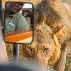 Image post by @chiawasafaris on Instagram