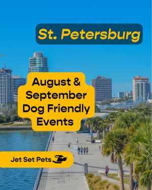 Image post by @jetsetpets on Instagram