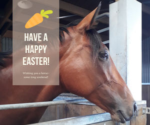 Image post by @NZHorseAmbulanceTrust on Facebook