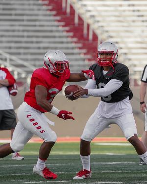 Image post by @unmlobofb on Instagram