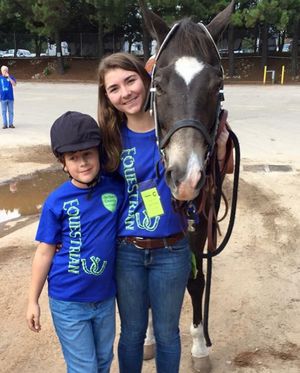 Image post by @appalachianequestrian on Instagram
