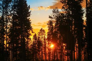 Image post by @winterparkresort on Instagram
