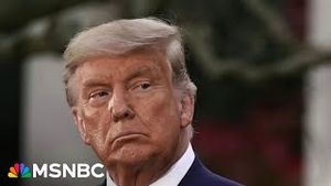 Video post by @msnbc on YouTube