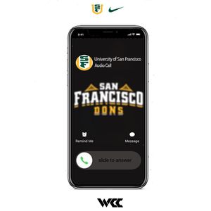 Image post by @usfdonsvb on Instagram