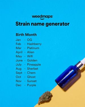 Image post by @weedmaps on Instagram