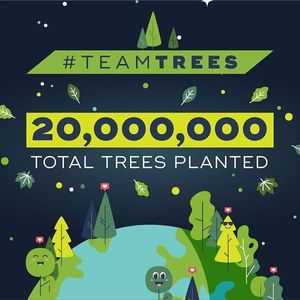 Image post by @teamtrees on Instagram