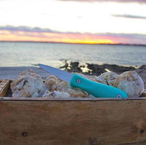 Image post by @toadfishoutfitters on Instagram
