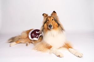 Image post by @tamu on Instagram