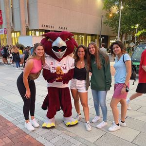 Image post by @templefencing on Instagram