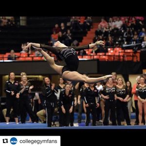 Image post by @beavergym on Instagram
