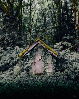 Image post by @amy.kennedy.photos on Instagram