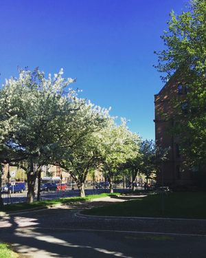 Image post by @harvardwbb on Instagram