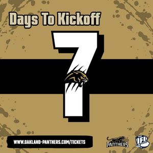 Image post by @panthersifl on Instagram