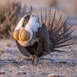 Image post by @discovery on Instagram