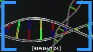 Video post by @newsnation on YouTube