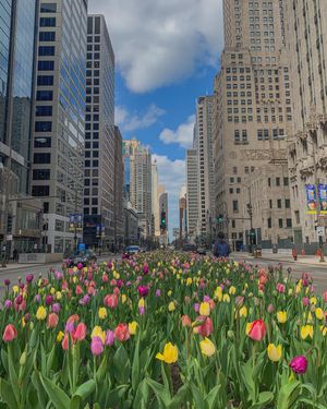 Image post by @exploreschicago on Instagram