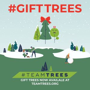 Image post by @teamtrees on Instagram