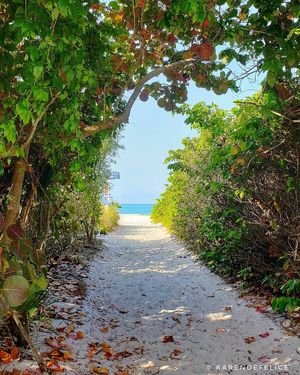 Image post by @visitsarasotacounty on Instagram