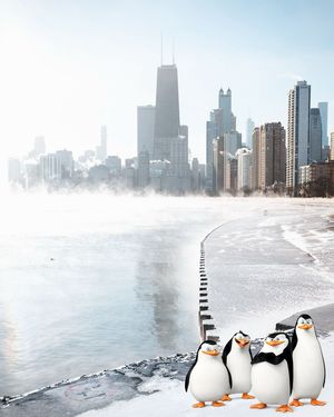 Image post by @360chicago on Instagram