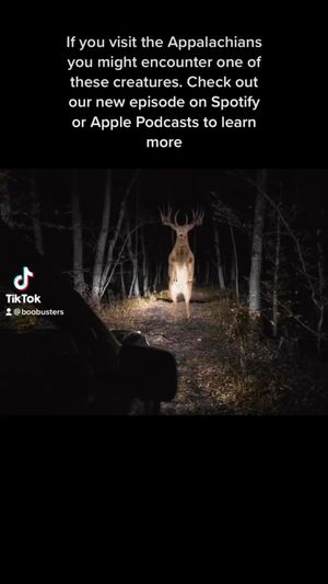Video post by @boo.busters.podcast on Facebook