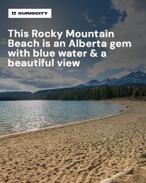 Image post by @curiocitycalgary on Instagram