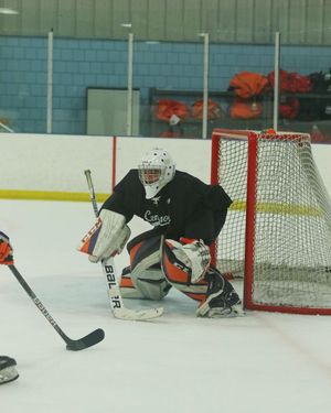 Image post by @clemsonicehockey on Instagram