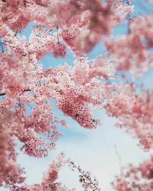 Image post by @unsplash on Instagram