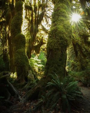 Image post by @nationalparkscollective on Instagram