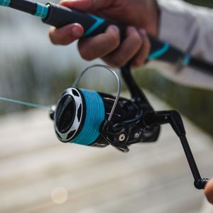 Image post by @toadfishoutfitters on Instagram