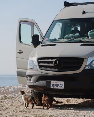 Image post by @mercedesbenzvansusa on Instagram