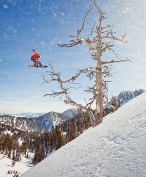 Image post by @redbull on Instagram