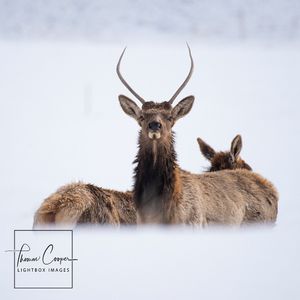 Image post by @lightboximages on Instagram