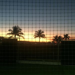 Image post by @fausoftball on Instagram