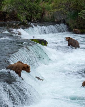 Image post by @nationalparkscollective on Instagram