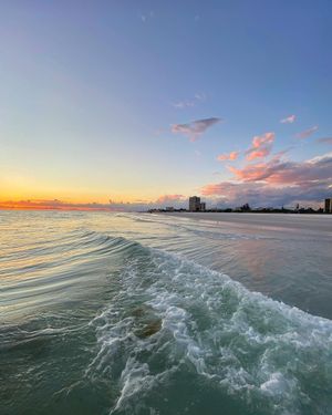 Image post by @visitsarasotacounty on Instagram