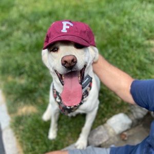 Image post by @fordhamuniversity on Instagram