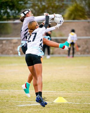 Image post by @nflflag on Instagram
