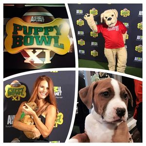Image post by @azsuperbowl on Instagram