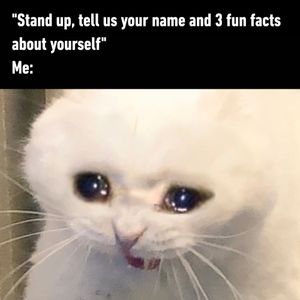 Image post by @9gag on Instagram