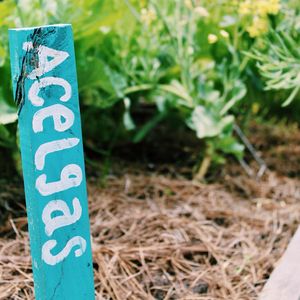 Image post by @kidsgardening on Instagram