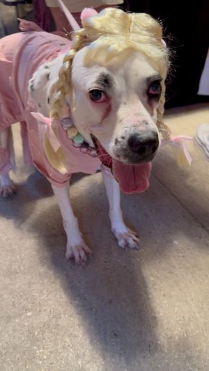 Video post by @LiveLikeRoo on Facebook