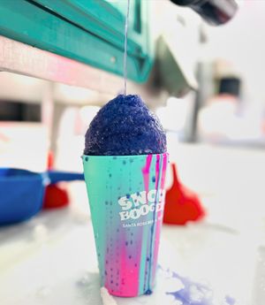 Image post by @snowboogers on Instagram