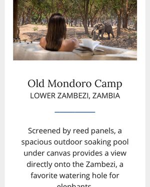 Image post by @chiawasafaris on Instagram