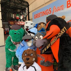 Image post by @aberdeenironbirds on Instagram