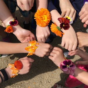 Image post by @kidsgardening on Instagram