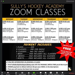 Image post by @sullyshockeyacademy on Instagram