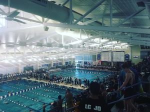 Image post by @wpiswimdive on Instagram