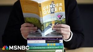 Video post by @msnbc on YouTube