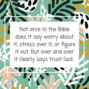 Image post by @pinkstork on Instagram