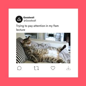 Image post by @goodwallapp on Instagram